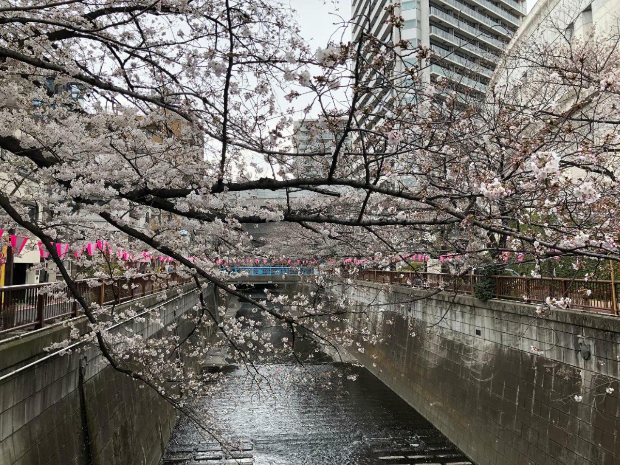 Wander Tokyo Shibuya Hotel Екстериор снимка